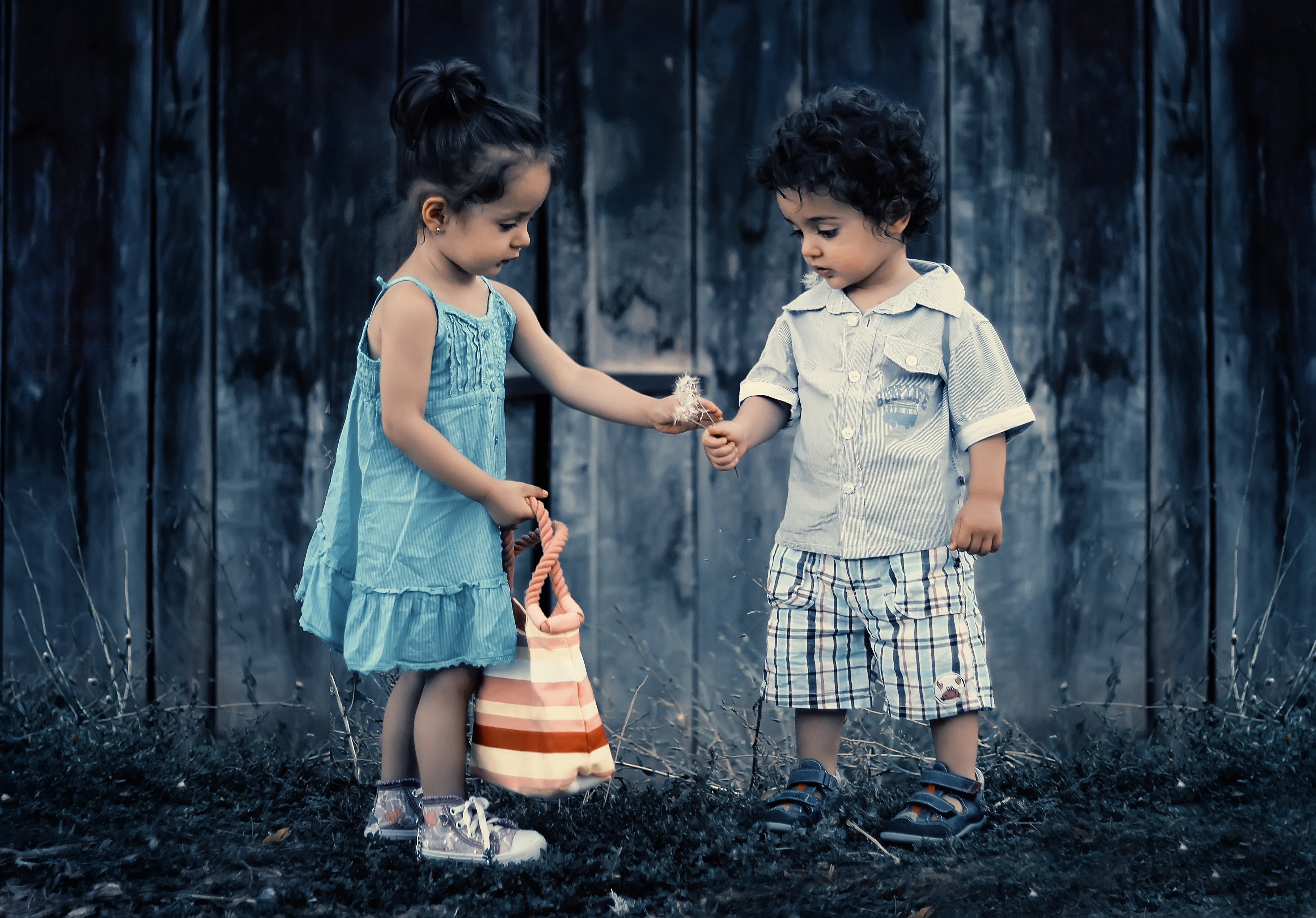 junior-stocks-and-shares-isa-wealth-for-your-kids